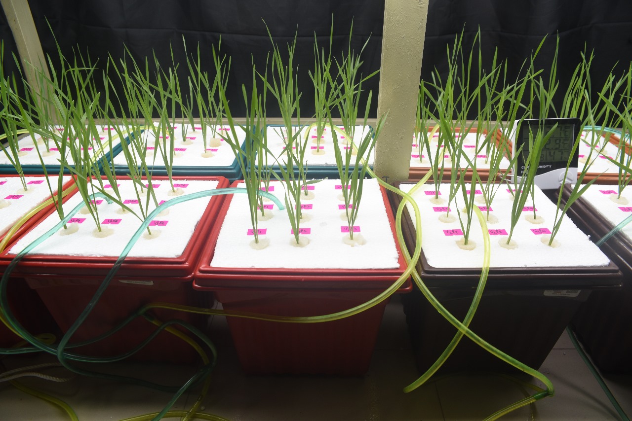 Sustainability at BAU: Nurturing the Future of Agriculture