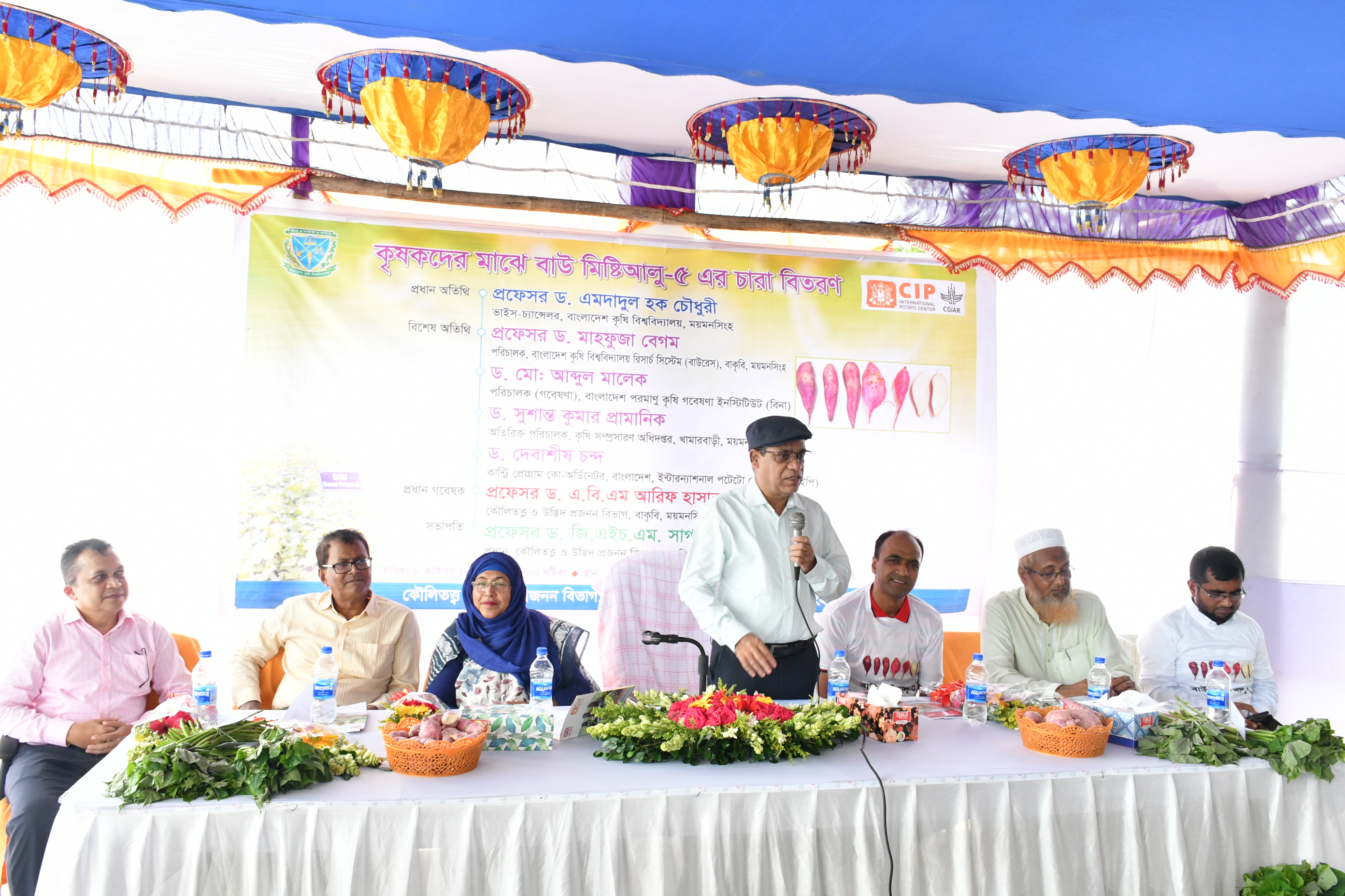 বাকৃবিতে কৃষকদের মাঝে বাউ মিষ্টিআলু-৫ এর চারা বিতরণ।