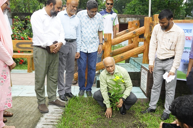 কৃষি অর্থনীতি ও গ্রামীণ সমাজবিজ্ঞান অনুষদীয় ছাত্র সমিতির উদ্যোগে বৃক্ষরোপণ ও চারা বিতরণ কর্মসূচি অনুষ্ঠিত